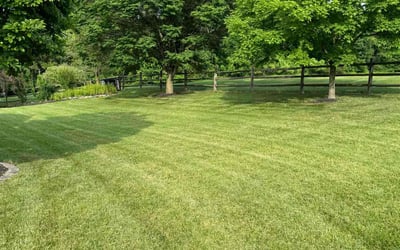 Photo of Chrissy R.'s yard after getting lawn care in Harleysville, PA