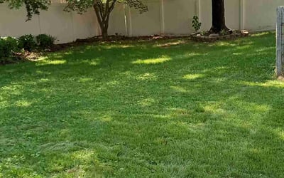 Photo of Shannon W.'s yard after getting lawn care in Perry Hall, MD