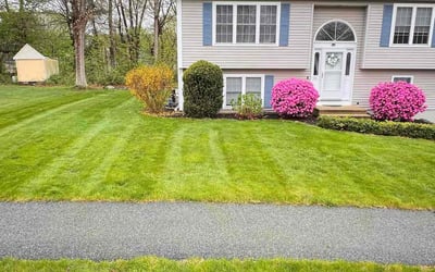 Photo of Don B.'s yard after getting lawn care in Southbridge, MA