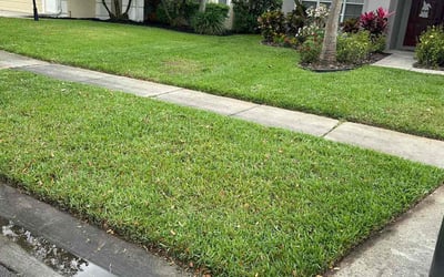 Photo of Chrissy P.'s yard after getting lawn care in Carrollwood, FL