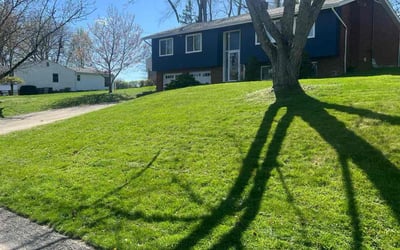 Photo of Jason A.'s yard after getting lawn care in Monessen, PA