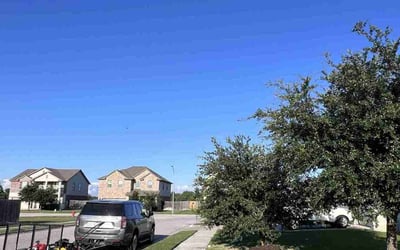 Photo of Carol M.'s yard after getting lawn care in Dripping Springs, TX