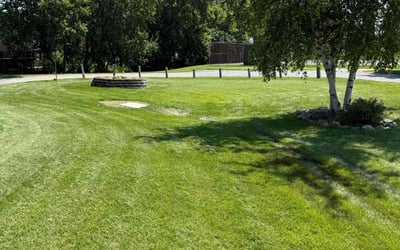 Photo of Irtiza S.'s yard after getting lawn care in Manassas, VA