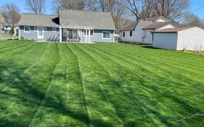 Photo of Carolyn A.'s yard after getting lawn care in Harrison Township, MI
