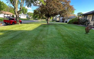 Photo of Joel Z.'s yard after getting lawn care in Coon Rapids, MN