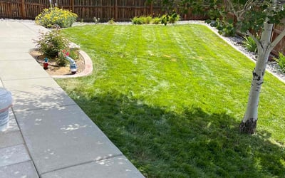 Photo of Margaret F.'s yard after getting lawn care in Colorado Springs, CO