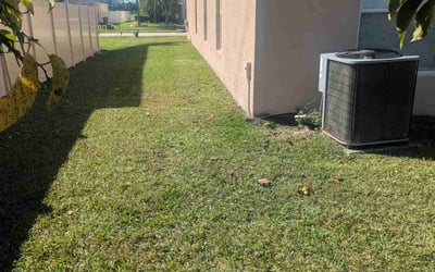 Photo of Rae C.'s yard after getting lawn care in Chino, CA