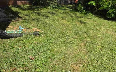 Photo of Erin S.'s yard after getting lawn care in Algonquin, IL