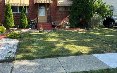 Photo of Lynn G.'s yard after getting lawn care in Niagara Falls, NY