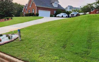 Photo of Lesa B.'s yard after getting lawn care in Zephyrhills, FL