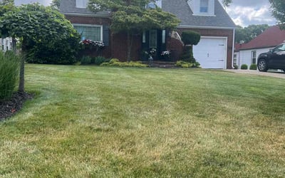 Photo of James S.'s yard after getting lawn care in Canton, OH