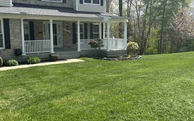 Photo of Tim H.'s yard after getting lawn care in Dumfries, VA