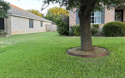 Photo of Jaelyn R.'s yard after getting lawn care in Lakeway, TX