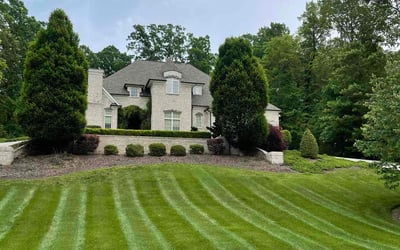 Photo of Krystal W.'s yard after getting lawn care in Houston, TX