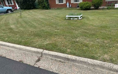 Photo of Sylvia V.'s yard after getting lawn care in Webster, NY