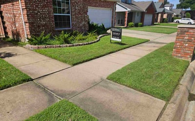 Photo of Erika W.'s yard after getting lawn care in Rockaway, NJ