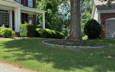 Photo of Debra S.'s yard after getting lawn care in Tupelo, MS