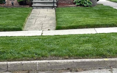 Photo of Mary R.'s yard after getting lawn care in Battle Creek, MI