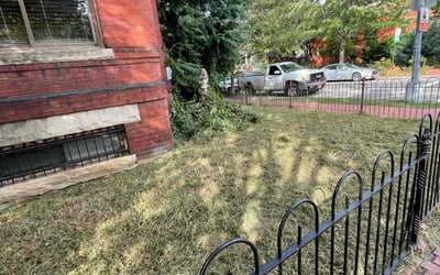 Photo of Michael D.'s yard after getting lawn care in Inver Grove Heights, MN