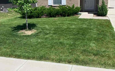 Photo of Walter H.'s yard after getting lawn care in Elwood, IN