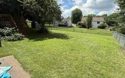 Photo of Joy C.'s yard after getting lawn care in Visalia, CA