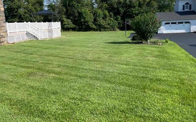 Photo of Frank J.'s yard after getting lawn care in Papillion, NE