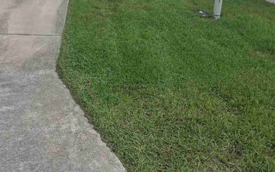 Photo of Melani W.'s yard after getting lawn care in Champlin, MN