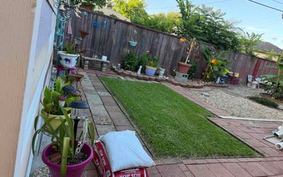 Photo of Sang L.'s yard after getting lawn care in Haverhill, MA