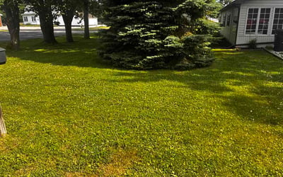 Photo of Makinlee J.'s yard after getting lawn care in Bethany, OK