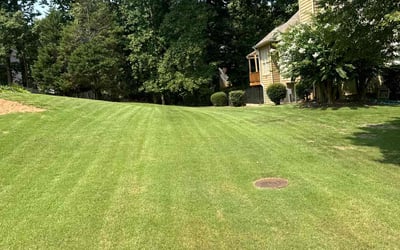 Photo of Nicholas S.'s yard after getting lawn care in Alpharetta, GA