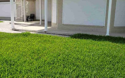 Photo of Jai B.'s yard after getting lawn care in Portland, TX