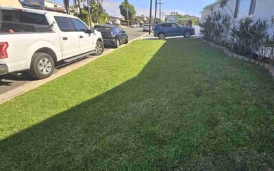 Photo of shanti N.'s yard after getting lawn care in Oceanside, CA