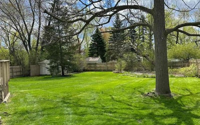 Photo of David T.'s yard after getting lawn care in Clawson, MI