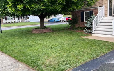 Photo of Lu J.'s yard after getting lawn care in Charles Town, WV