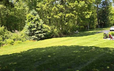 Photo of Victoria V.'s yard after getting lawn care in Fort Lauderdale, FL