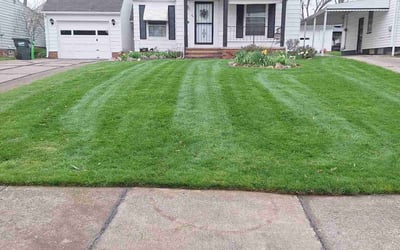 Photo of Kevin R.'s yard after getting lawn care in Bedford, OH