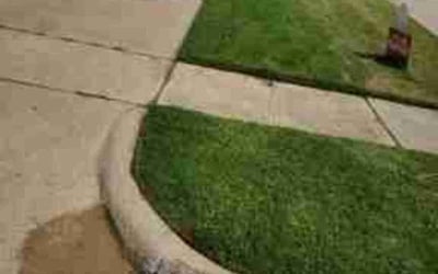 Photo of Karl J.'s yard after getting lawn care in Kingsburg, CA