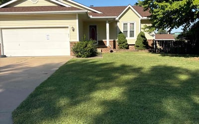 Photo of Anne E.'s yard after getting lawn care in Derby, KS