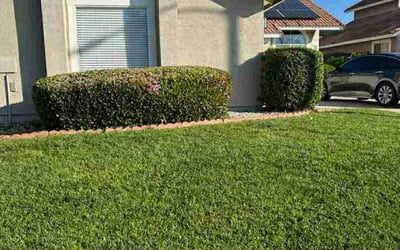 Photo of Marsha P.'s yard after getting lawn care in Monroe Township, NJ