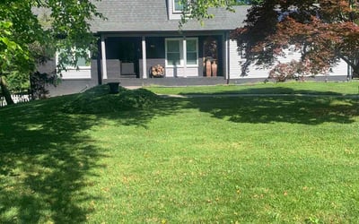 Photo of Steven B.'s yard after getting lawn care in Owings Mills, MD