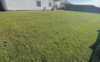 Photo of Kevin, L.'s yard after getting lawn care in Slidell, LA