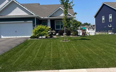 Photo of Laura B.'s yard after getting lawn care in Brainerd, MN