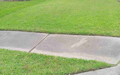 Photo of Halston P.'s yard after getting lawn care in San Marcos, TX
