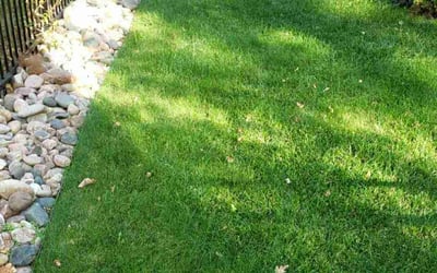Photo of KRIS M.'s yard after getting lawn care in Denver, CO