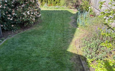 Photo of Marie E.'s yard after getting lawn care in Auburn, WA