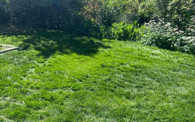 Photo of Sodachan S.'s yard after getting lawn care in Salt Lake City, UT