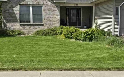 Photo of Heidi L.'s yard after getting lawn care in Wausau, WI