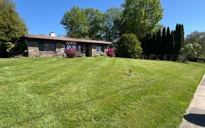 Photo of Howard S.'s yard after getting lawn care in Springfield, PA