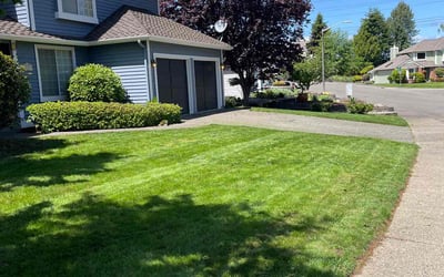 Photo of Ligaya A.'s yard after getting lawn care in Federal Way, WA