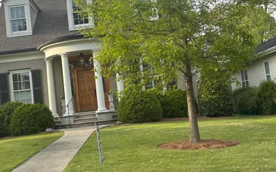 Photo of Emily B.'s yard after getting lawn care in Huntsville, AL